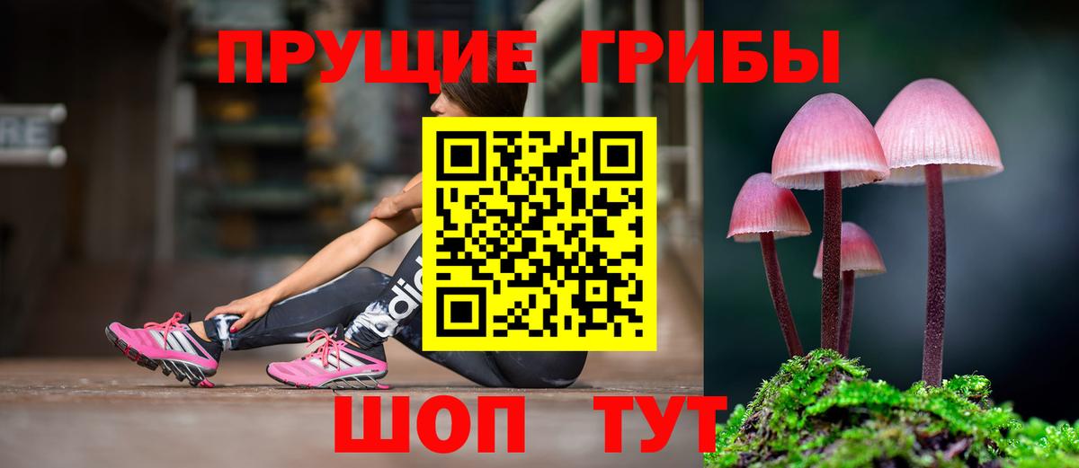 Лабинск  Галлюциногенные грибы GOLDEN TEACHER  Вход с VPN 